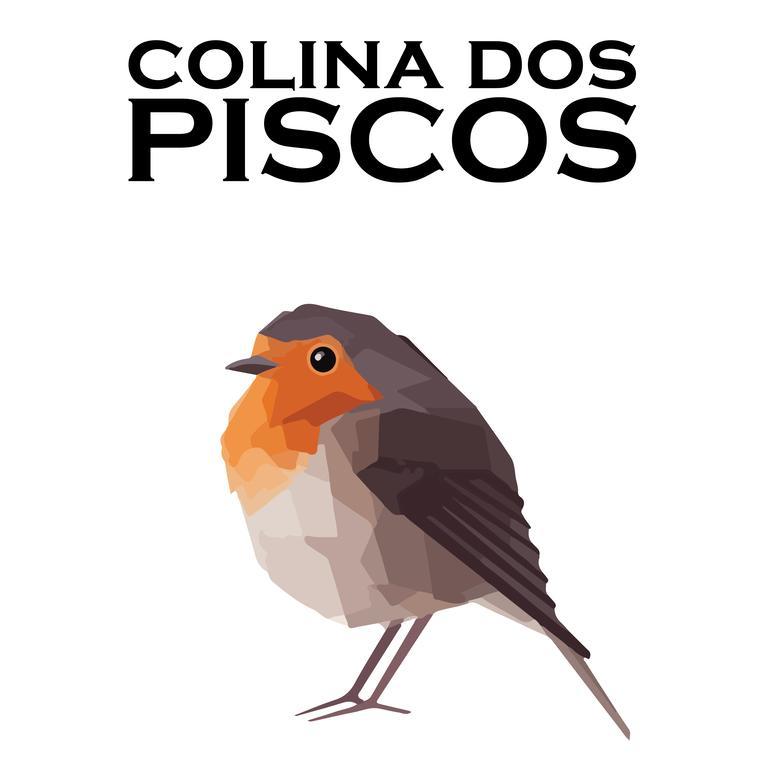 Colina Dos Piscos Hotel Casais da Abadia Kültér fotó